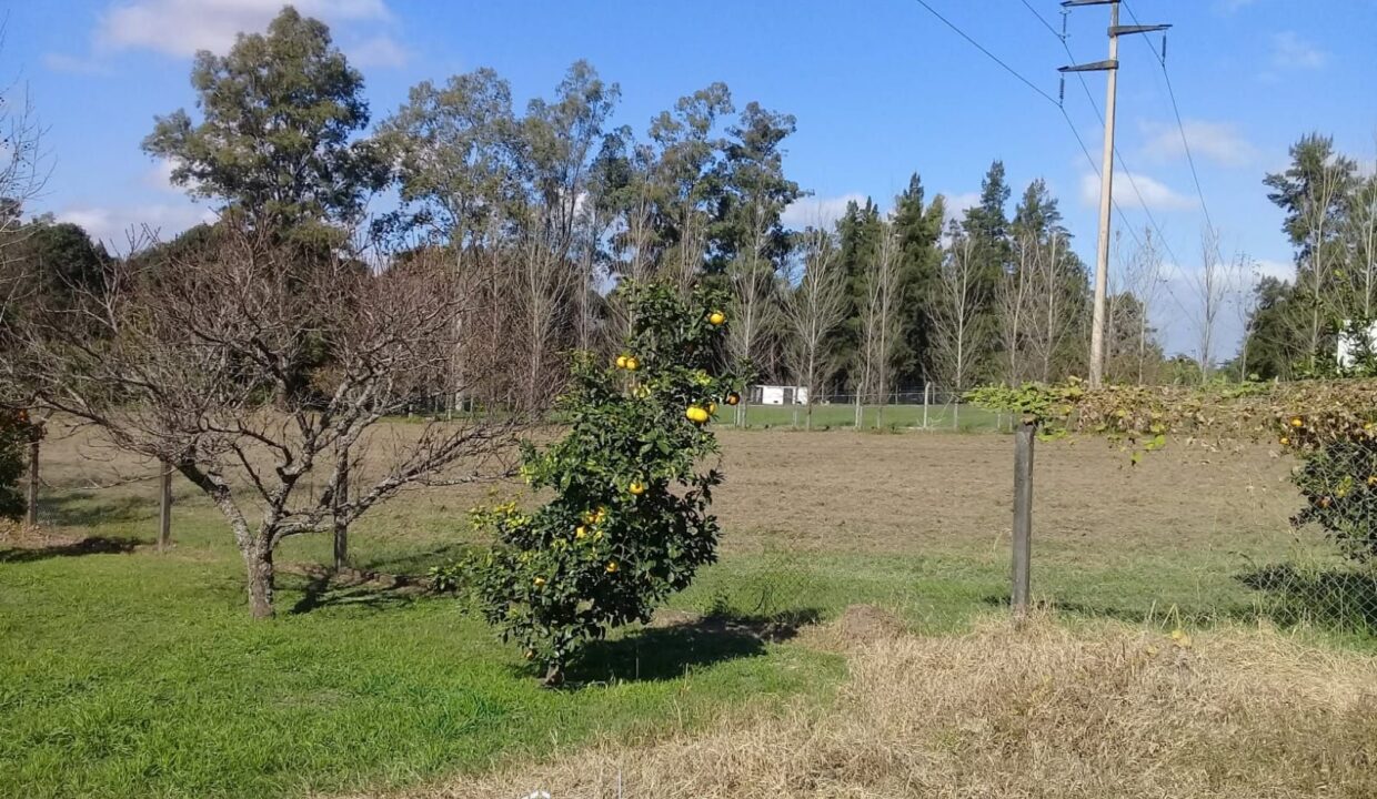 Terreno en Tafi Viejo 5.000m2