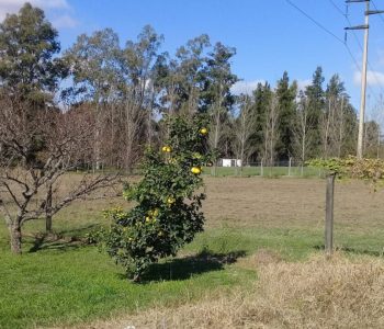 Terreno en Tafi Viejo 5.000m2